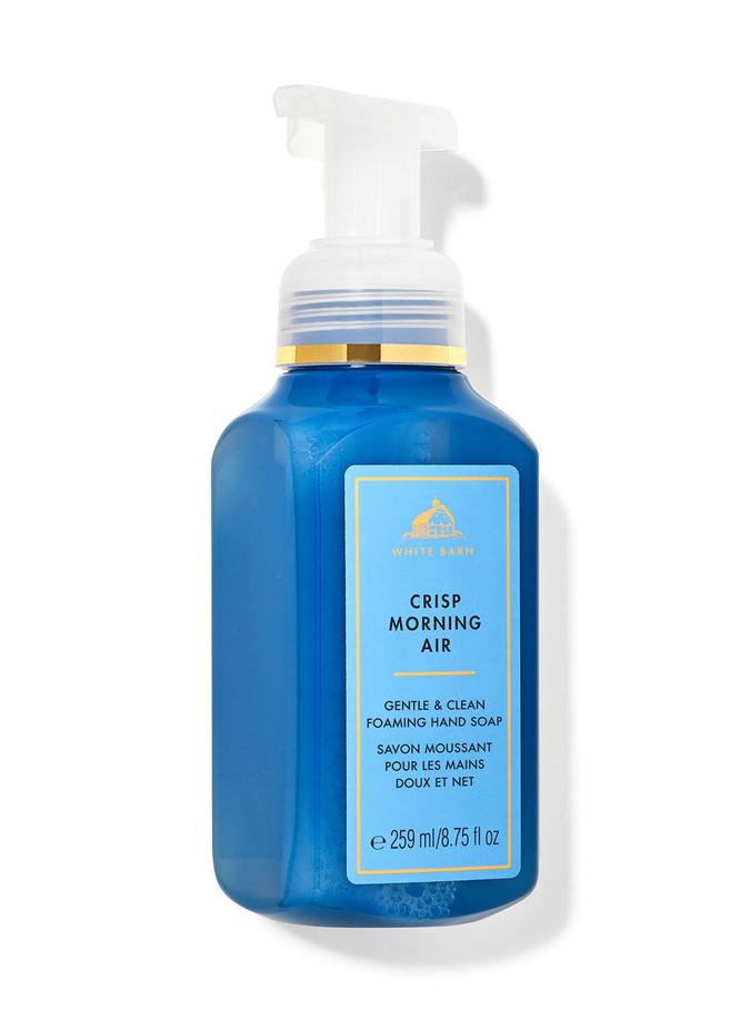 Bath & Body Works Crisp Morning Air Gentle & Clean Foaming Hand Soap, 259 ml / 8.75 Fl oz Buy at Indicrest