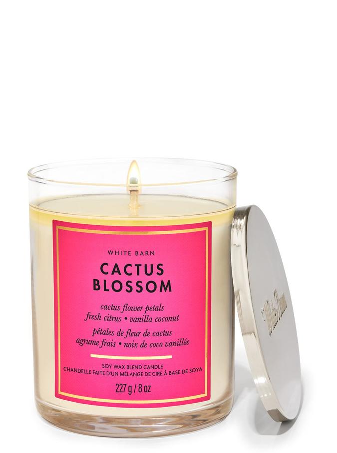 Bath & Body Works Cactus Blossom Single Wick Candle, 227 g / 8 oz