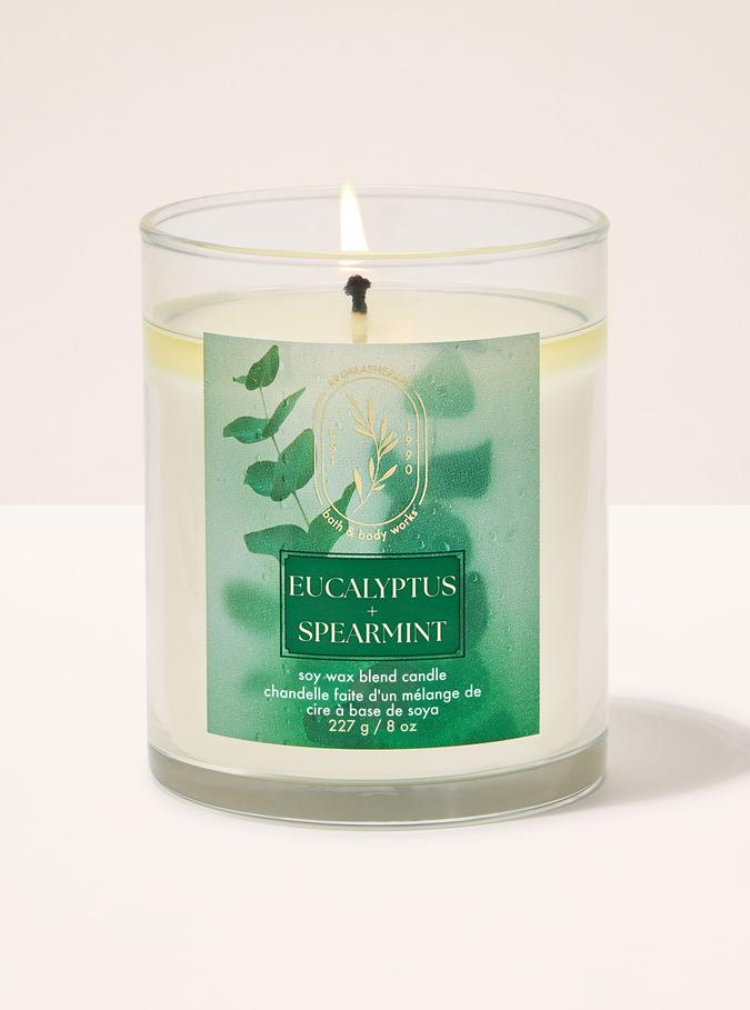Bath & Body Works Eucalyptus Spearmint Single Wick Candle, 227 g /8 oz