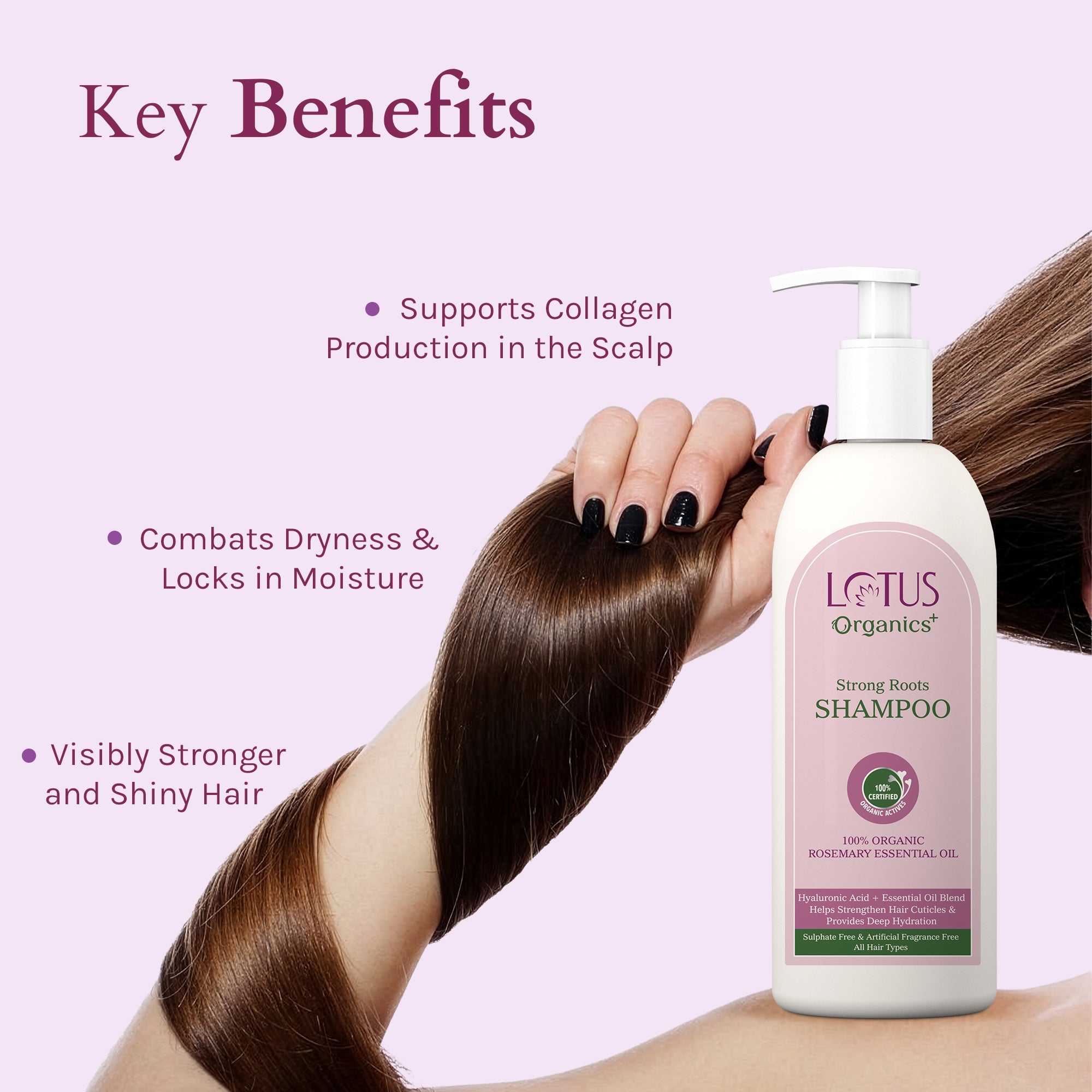 Lotus Herbals Organics+ Strong Roots Shampoo, 280ml