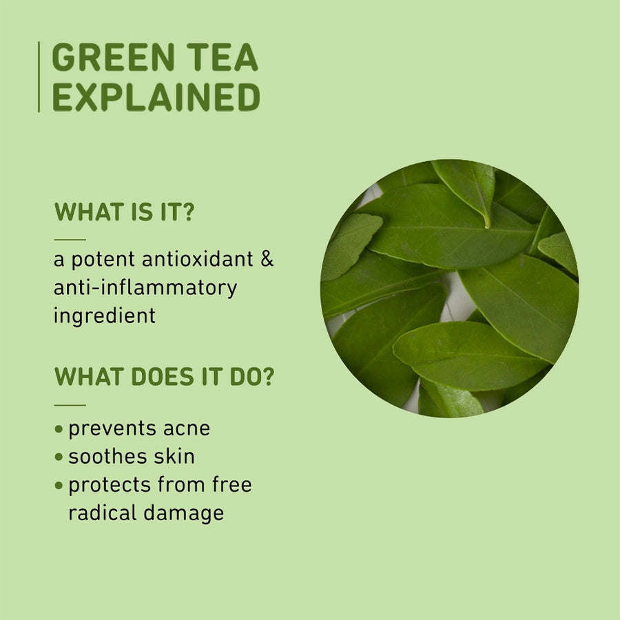 Plum Green Tea Oil-Free Moisturizer for Oily Skin | Fights Acne & Controls Oil | Non-Comedogenic | Dermat-Tested, 50ml