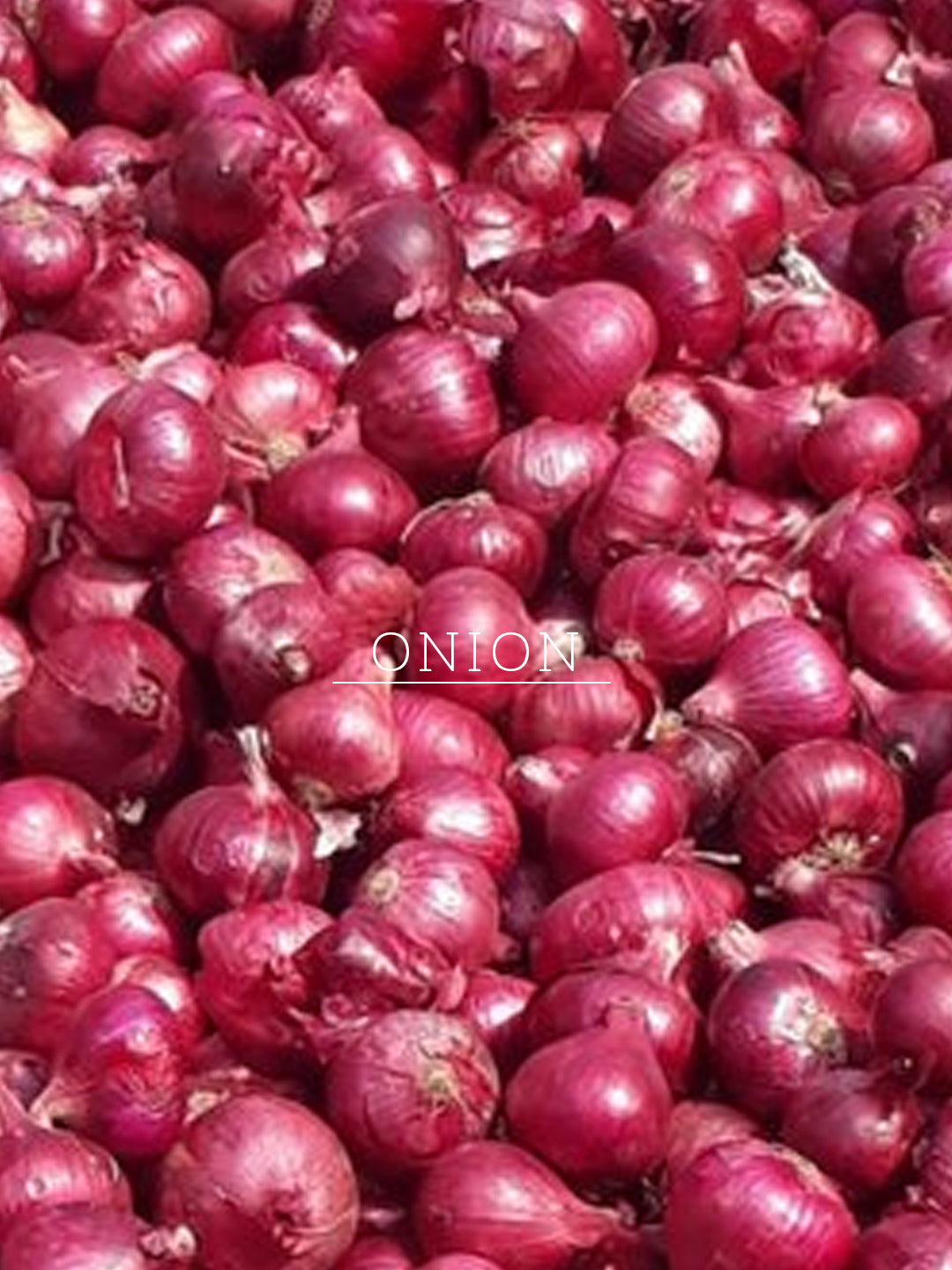 Khadi Natural Onion & Fenugreek Hair Oil - Mineral Oil, Silicones, Synthetic Fragrance Free - 200ml - Image 6 - Buy from Indicrest
