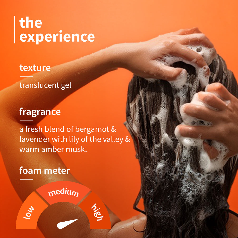 Plum Anti-Dandruff Shampoo with Volcanic Minerals & 0.5% Salicylic Acid | 72-Hr Dandruff & Frizz Control | Prevents Dry Hair, 250ml