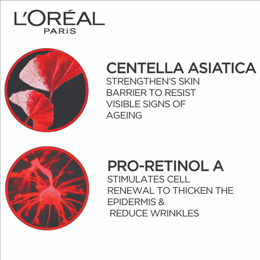 L'Oreal Paris Revitalift Anti-Wrinkle And Firming Night Cream, 50ml Buy at Indicrest Image 4