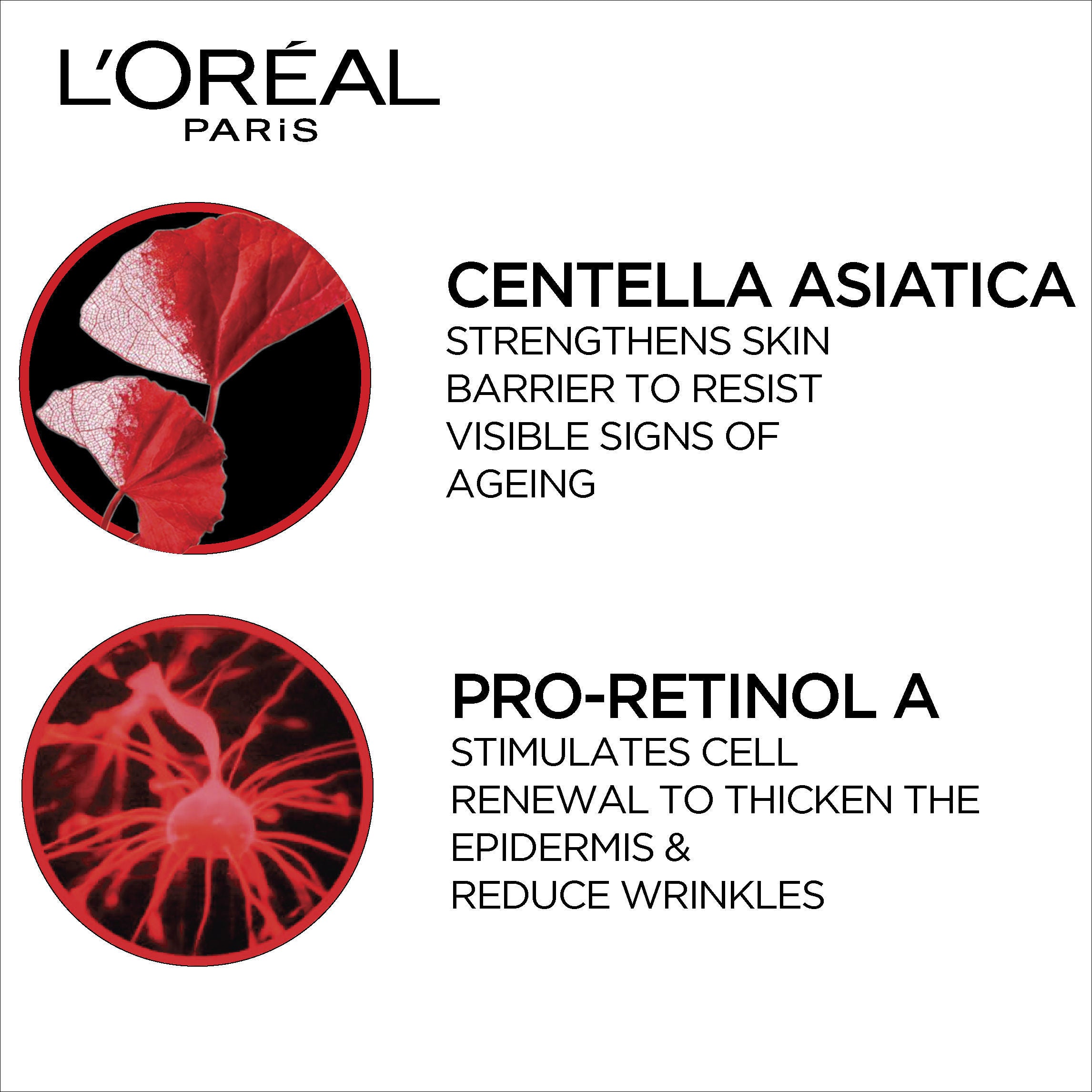 L'Oreal Paris Revitalift Anti-Wrinkles + Radiance Moisturizing Cream Day SPF 35 PA++, 50ml Buy at Indicrest Image 4