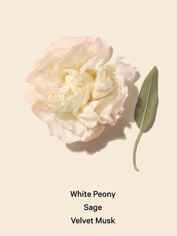 Victoria's Secret Bombshell Seduction, 50ml Small Eau de Parfum, 50 ml/1.7 fl oz.