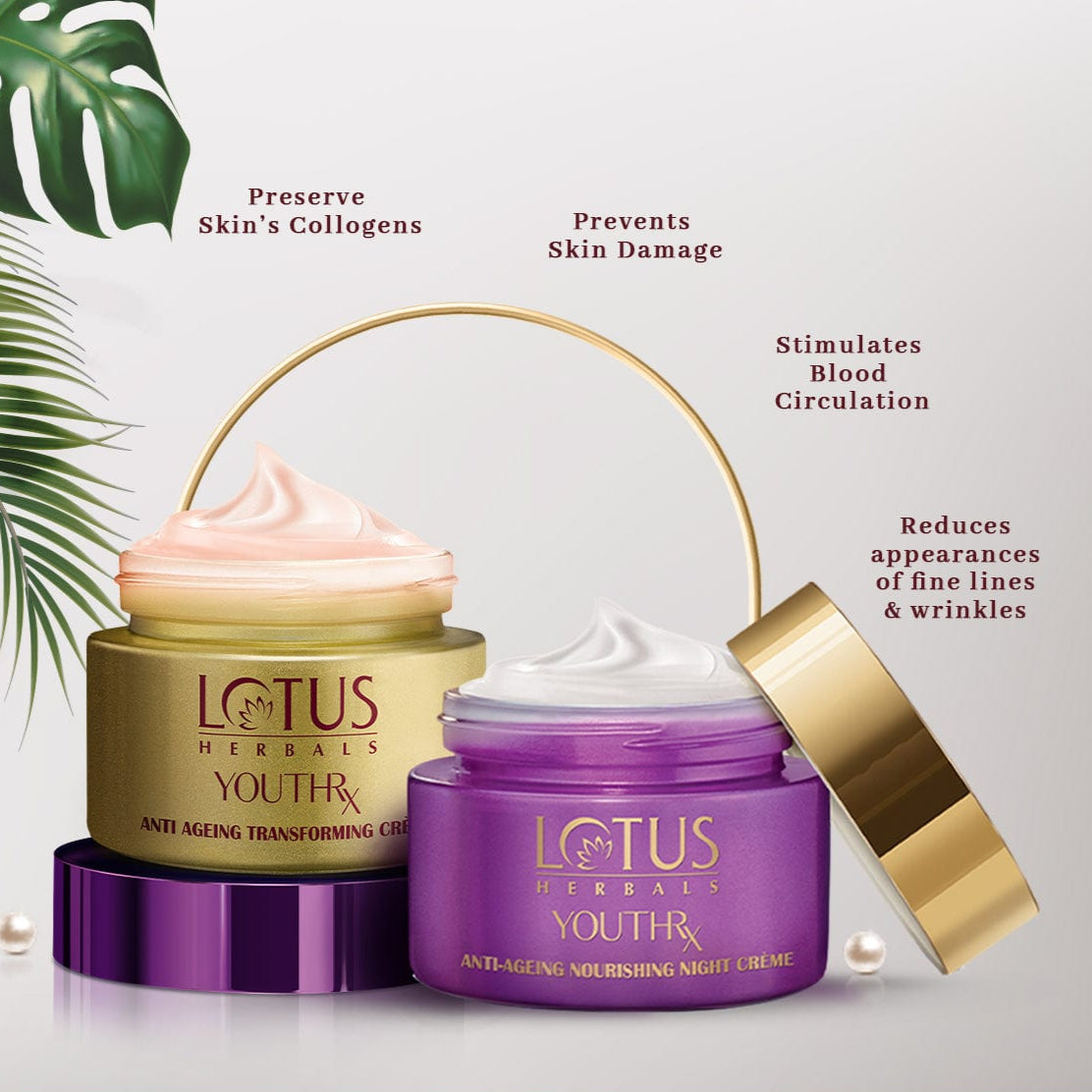 Lotus Herbals YouthRX Wrinkle Defense Combo, Day Creme 50g + Night Creme 50g