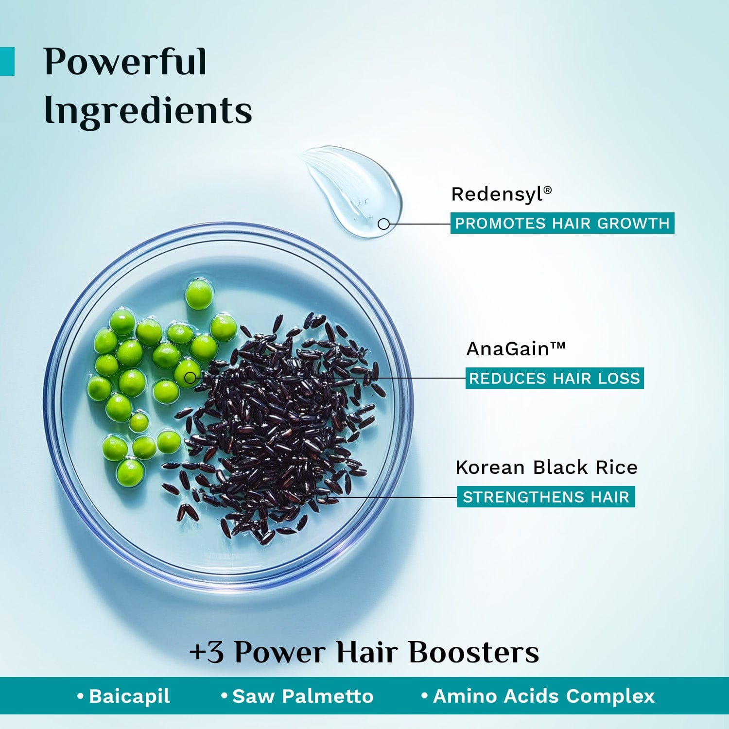 Pilgrim Redensyl & Anagain Hairfall Control Shampoo, 200ml - Image 4 - Buy from Indicrest