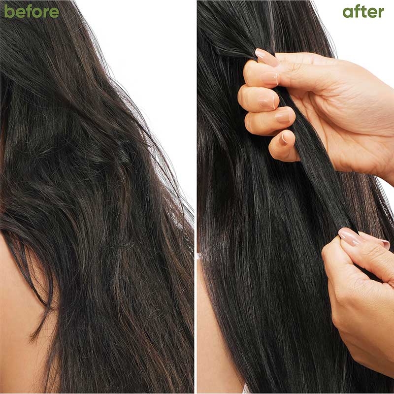 Biolage Advanced Fiberstrong Professional Shampoo, 200ml + Conditioner, 96g Combo For Hair Breakage Buy at Indicrest Image 2
