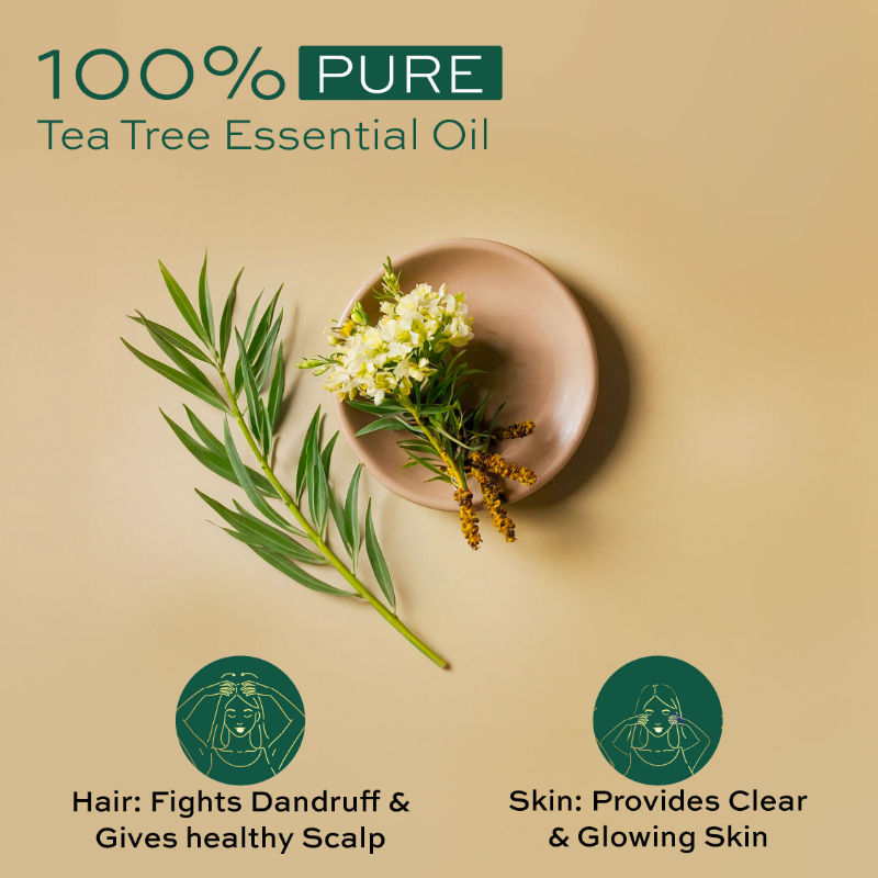 Parachute Advansed Tea Tree Essential Oil, 14ml Buy at Indicrest Image 2
