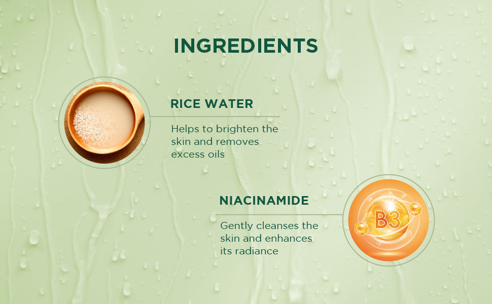Biotique Rice Water & Niacinamide Gel Face Wash, 100ml - Image 4 - Buy from Indicrest