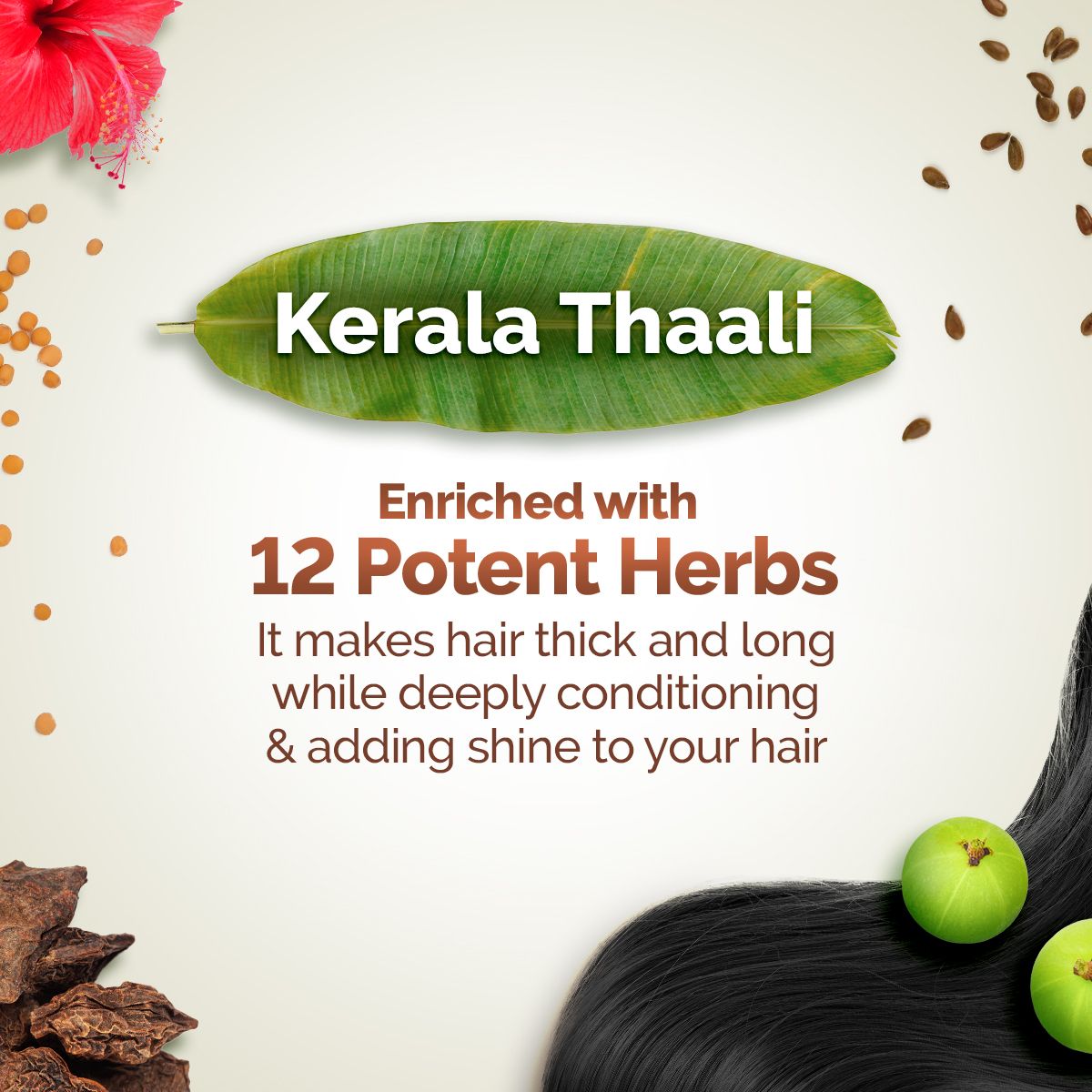 Mamaearth Kerala Thaali Shampoo with the Power of 12 Herbs for Thick & Long Hair, 250ml - Image 2 - Buy from Indicrest