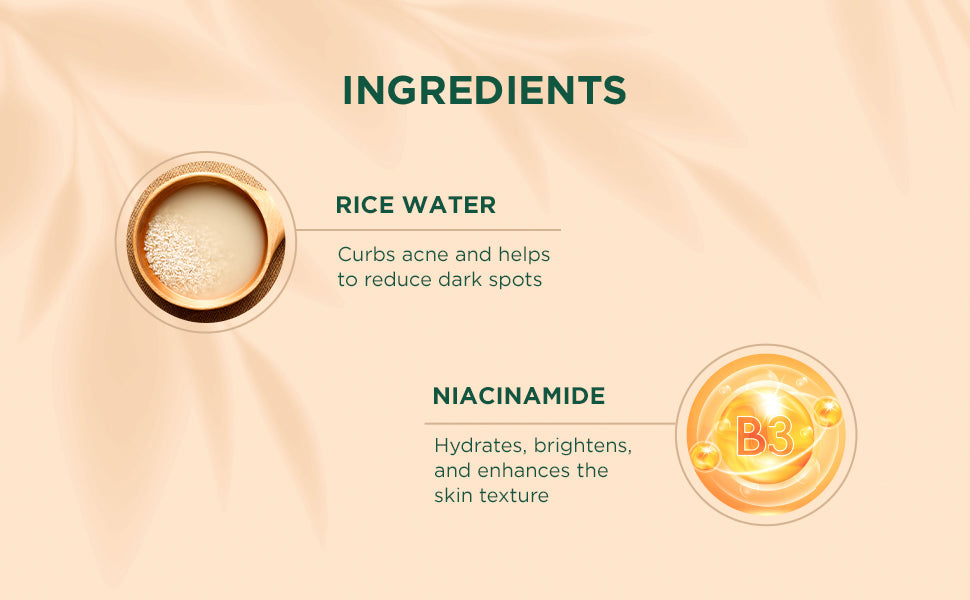 Biotique Rice Water & Niacinamide Gel Moisturizer, 50ml - Image 4 - Buy from Indicrest