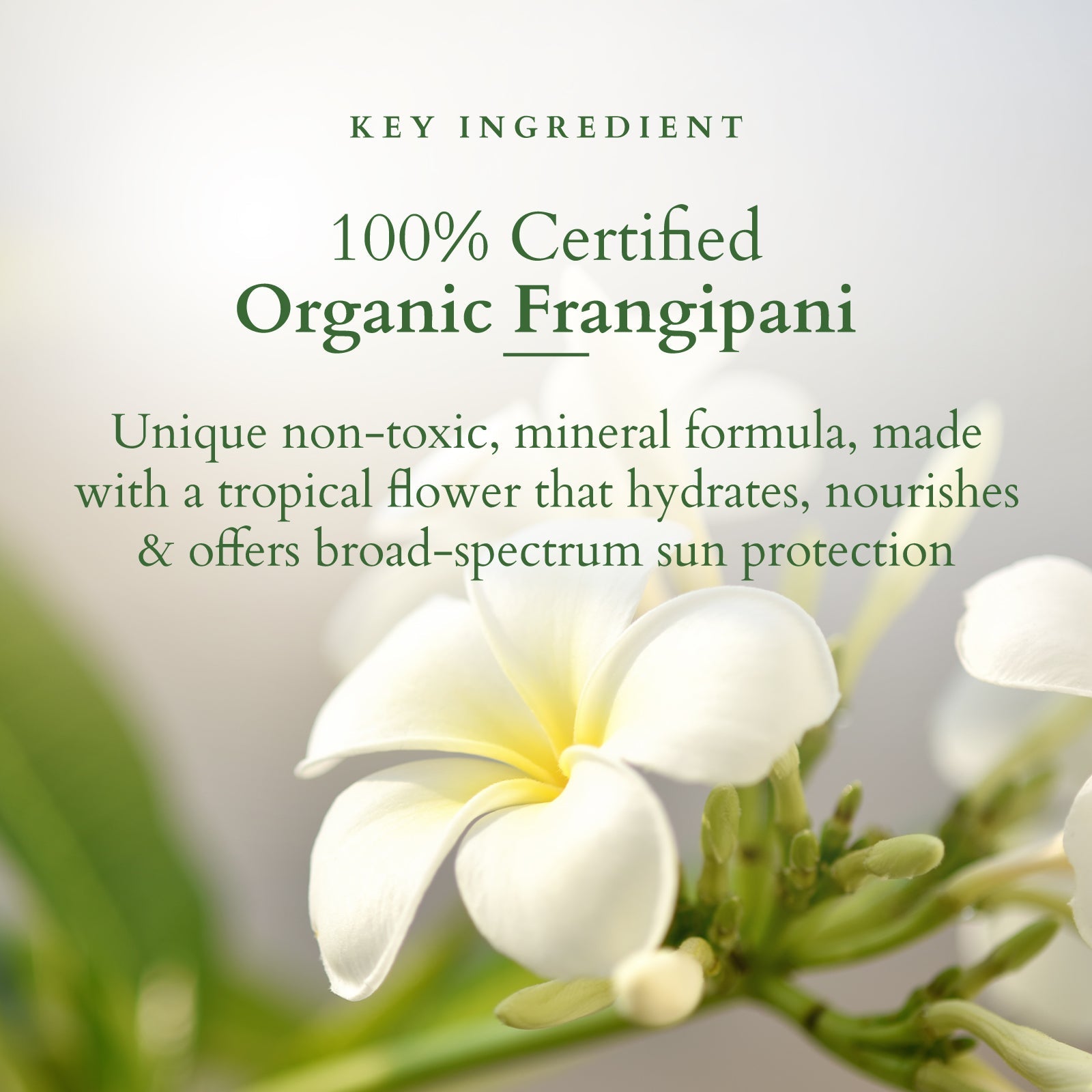 Lotus Herbals Organics+ Hydrating Gel Mineral Sunscreen SPF 30 PA+++, 100g
