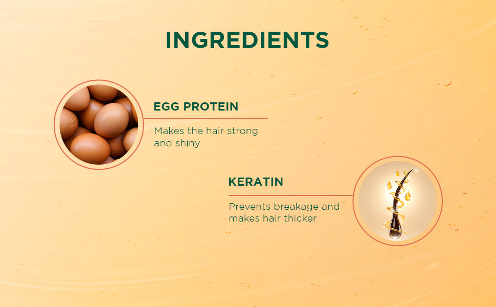 Biotique Eggplex & Keratin Shampoo, 300ml - Image 4 - Buy from Indicrest