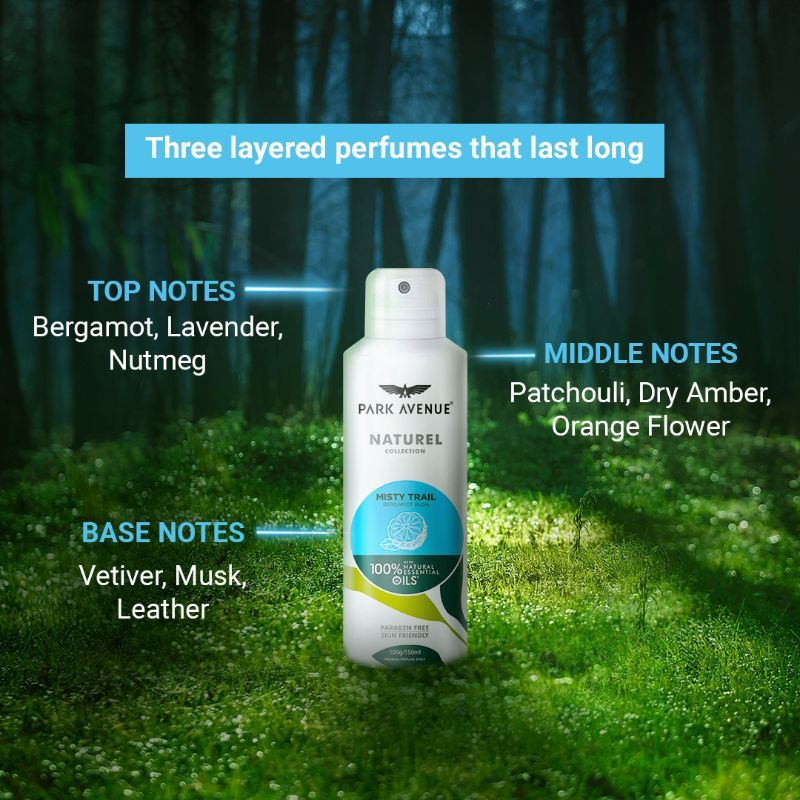 Park Avenue Naturel Misty Trail Deodorant For Men, 150ml Buy at Indicrest Image 4