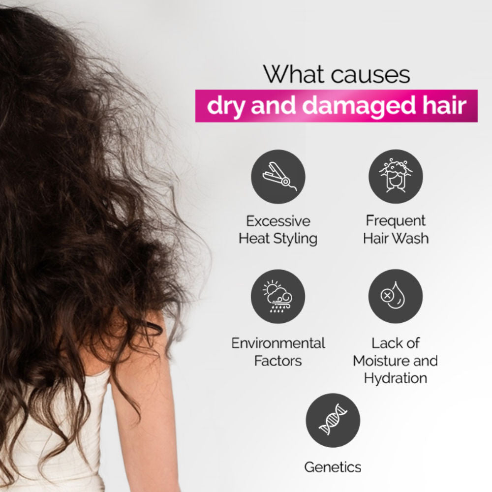 Streax Craft Repair Shampoo I For Dry and Damaged Hair I Repair With Pro Vitamin B-5, 275ml Buy at Indicrest Image 4