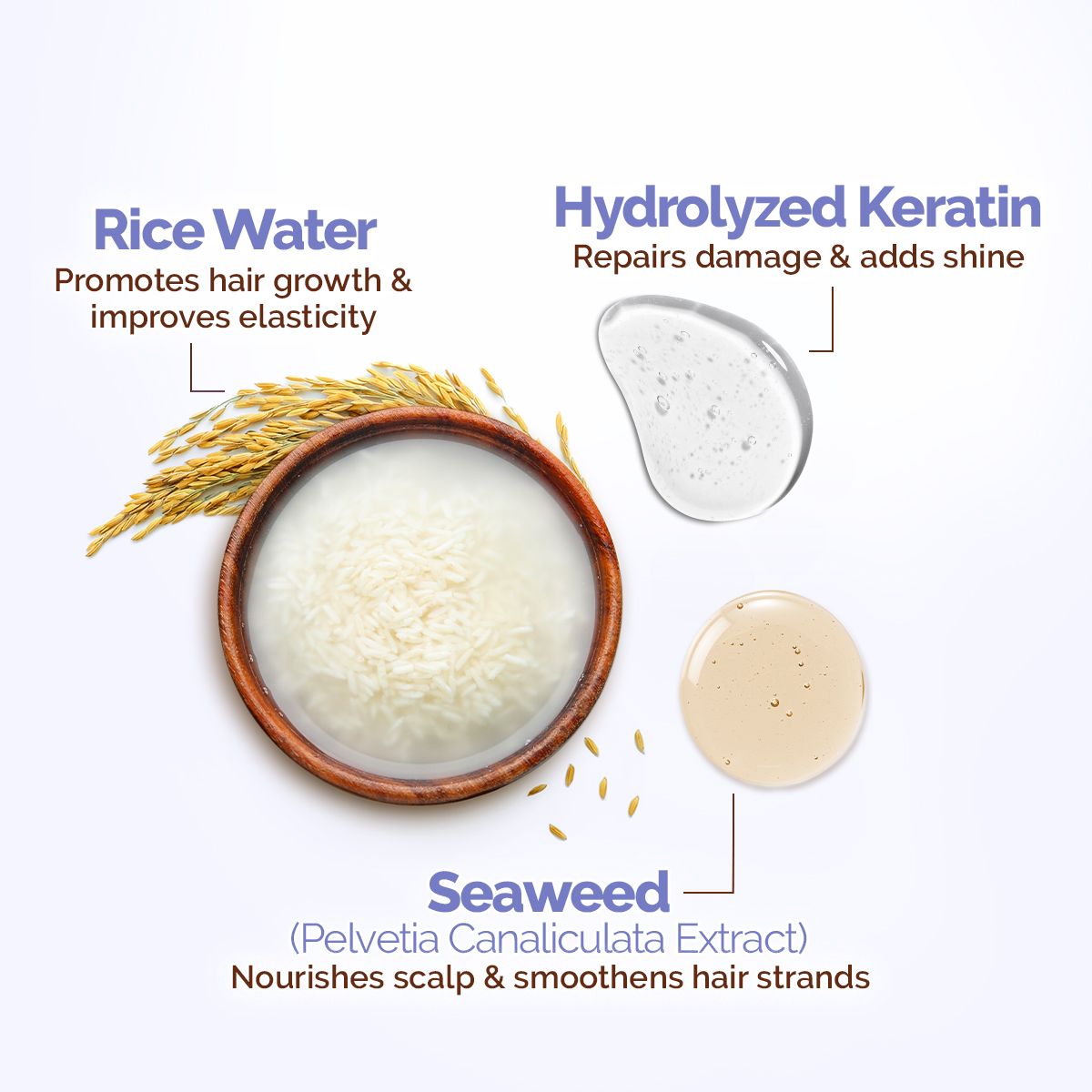 Mamaearth Rice Water Strengthening Shampoo with with Rice Water & Keratin for Damage Repair-, 400ml - Image 3 - Buy from Indicrest