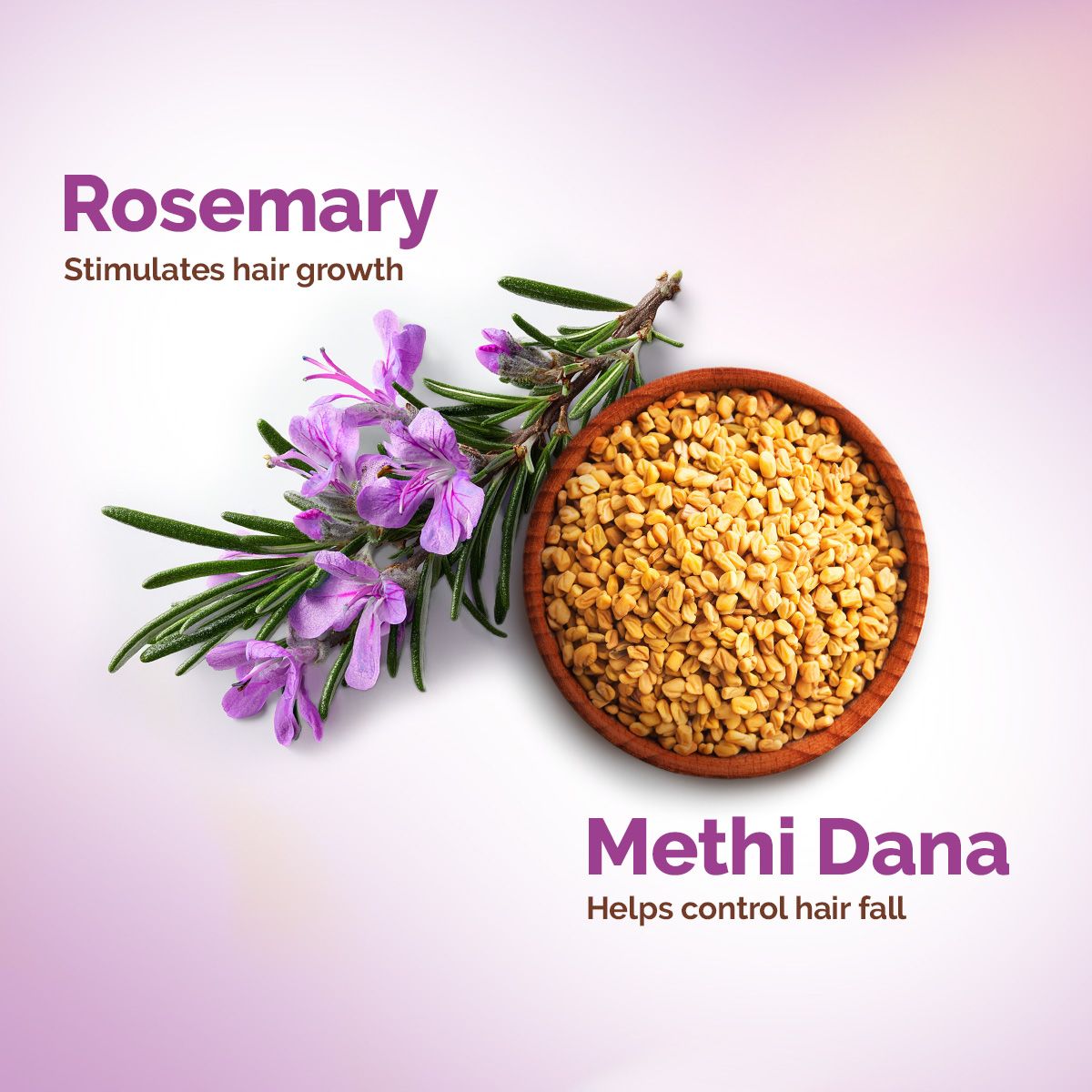 Mamaearth Rosemary Anti-Hair Fall Shampoo with Rosemary & Methi Dana for Hair Loss & Breakage Reduction, 650ml - Image 4 - Buy from Indicrest