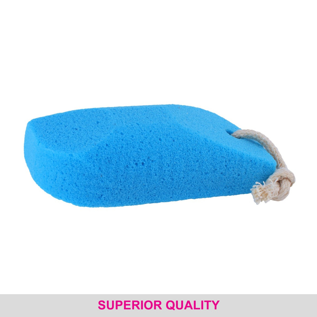 Vega Pumice Sponge - PD-17