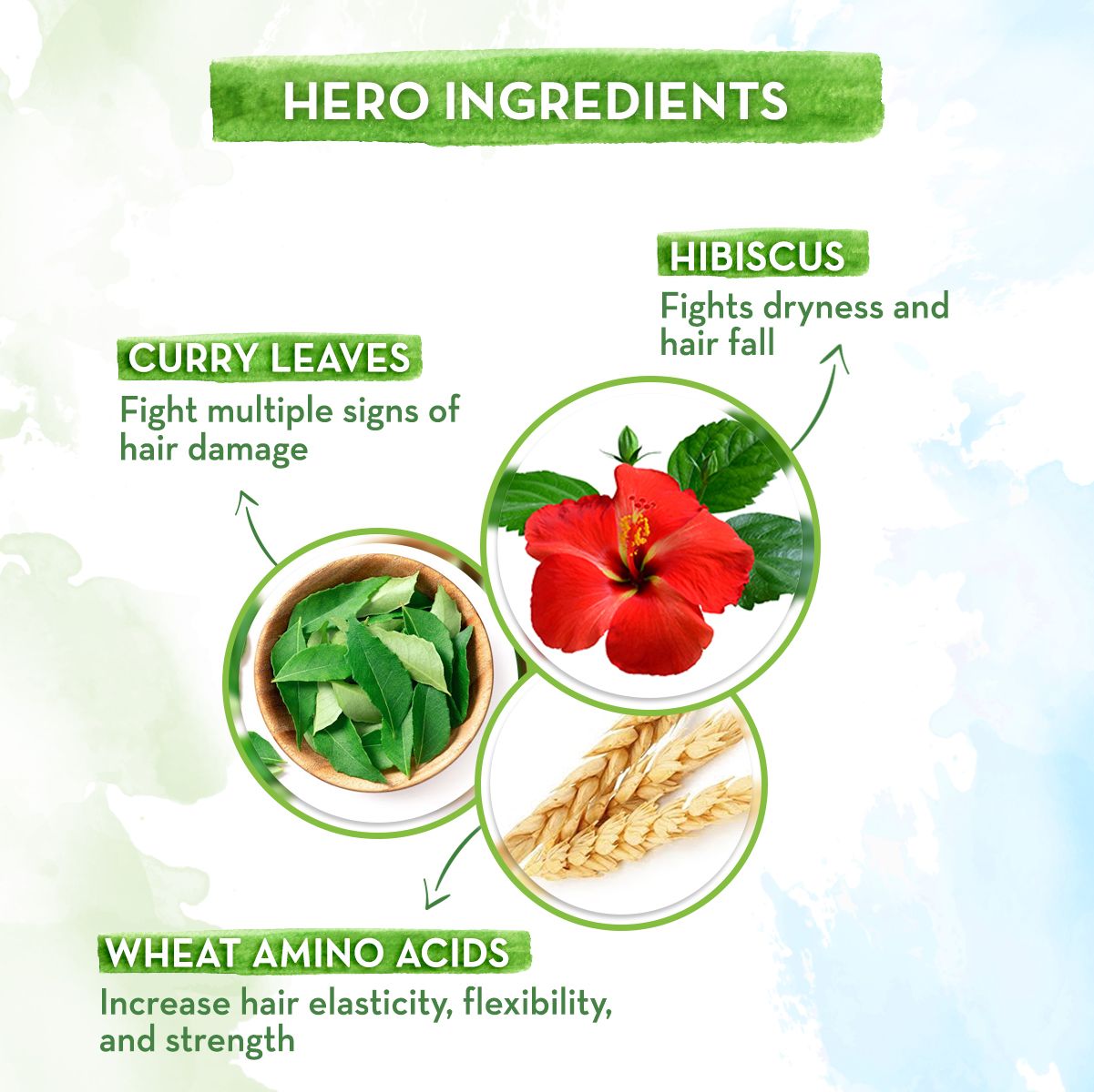 Mamaearth Hibiscus Damage Repair Shampoo With Hibiscus & Curry Leaves, 250ml - Image 3 - Buy from Indicrest