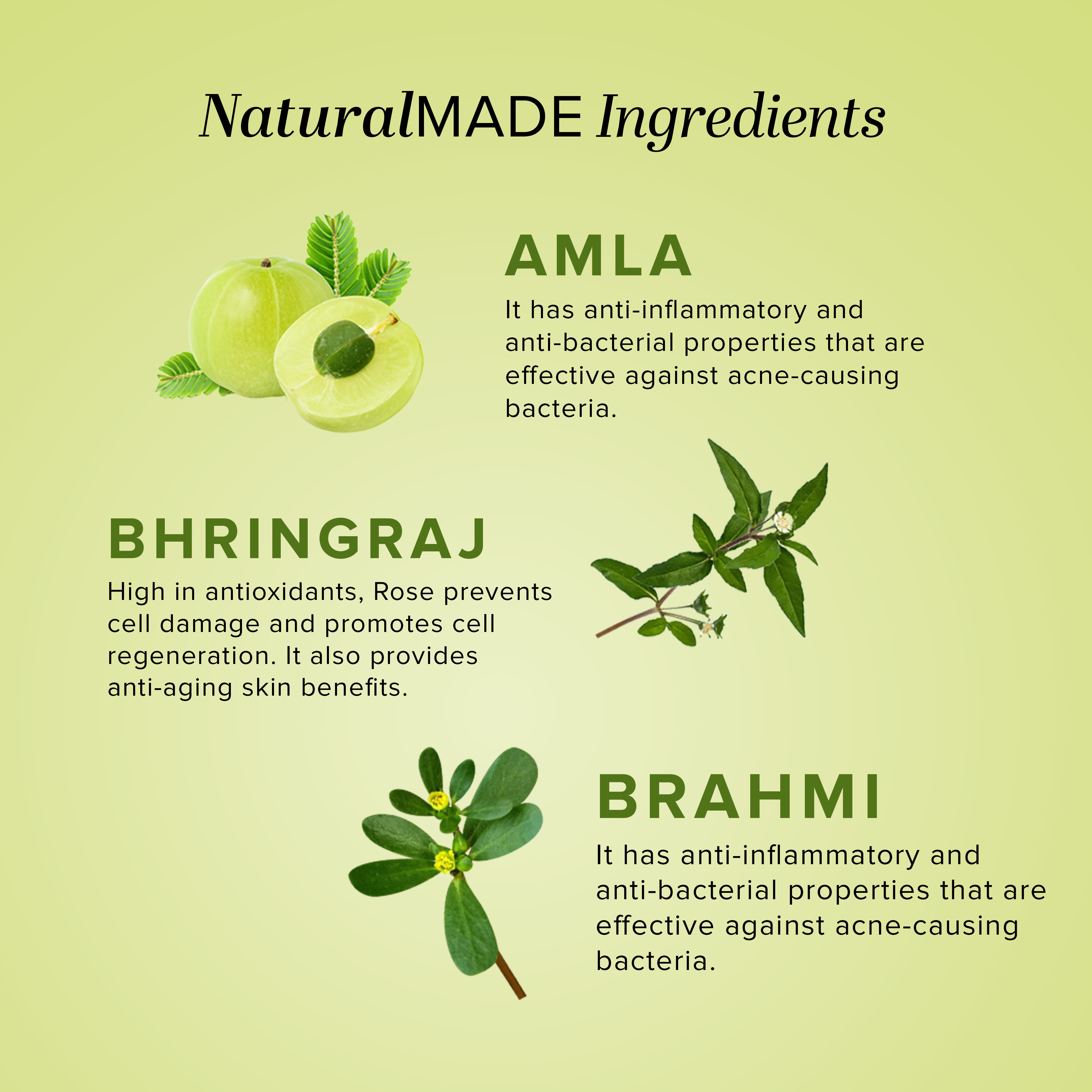 Khadi Natural Amla Hair Care Pack - 210ml Each - Image 3 - Buy from Indicrest