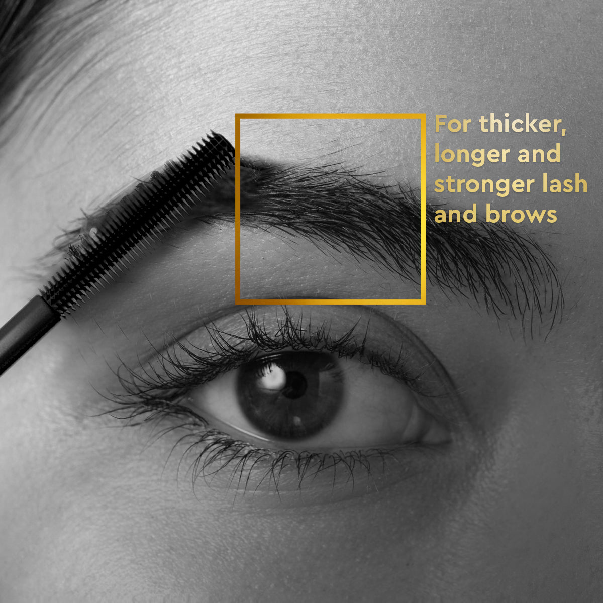 VLCC ProCare Brow and Lashes Oil - 15ml - Image 3 - Buy from Indicrest