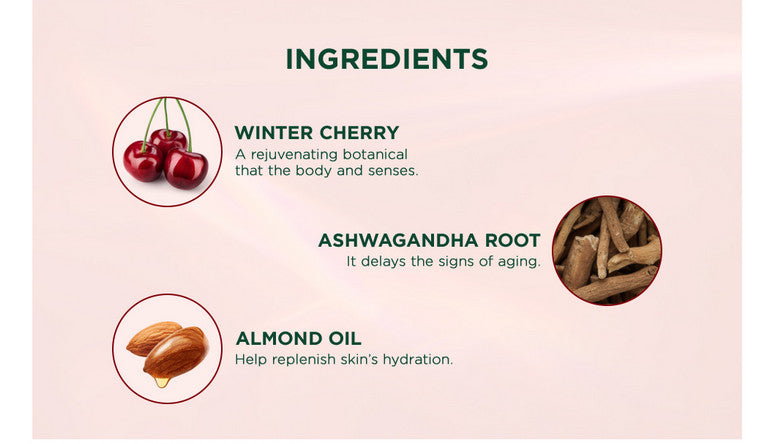 Biotique Winter Cherry Rejuvenating Body Lotion, 190ml - Image 6 - Buy from Indicrest