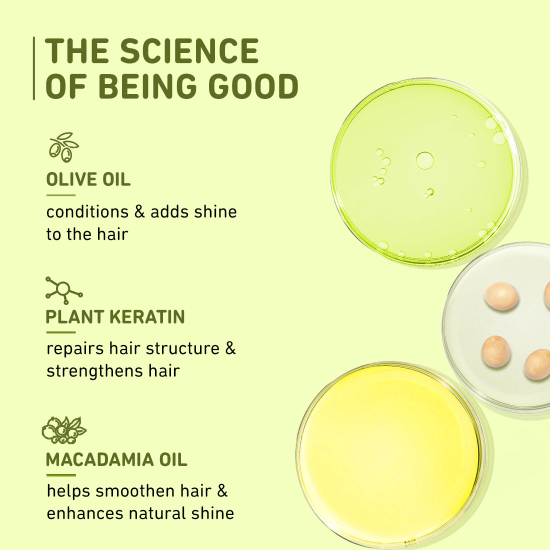 Plum Olive & Macadamia Mega Moisturizing Hair Mask | Repairs Damage | Smoothens Hair, 250g