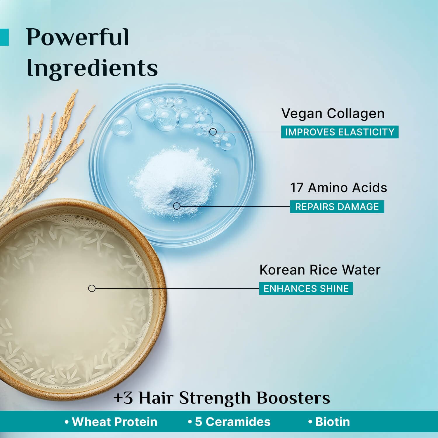 Pilgrim Korean Rice Water & Collagen Advanced Damage Repair Conditioner, 200ml - Image 4 - Buy from Indicrest