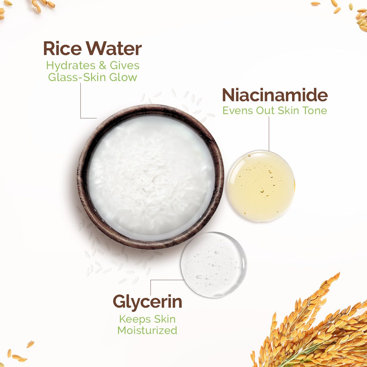 Mamaearth Rice Water Tone Up Face Cream with Rice Water & Niacinamide for Glass Skin, 50g - Image 4 - Buy from Indicrest
