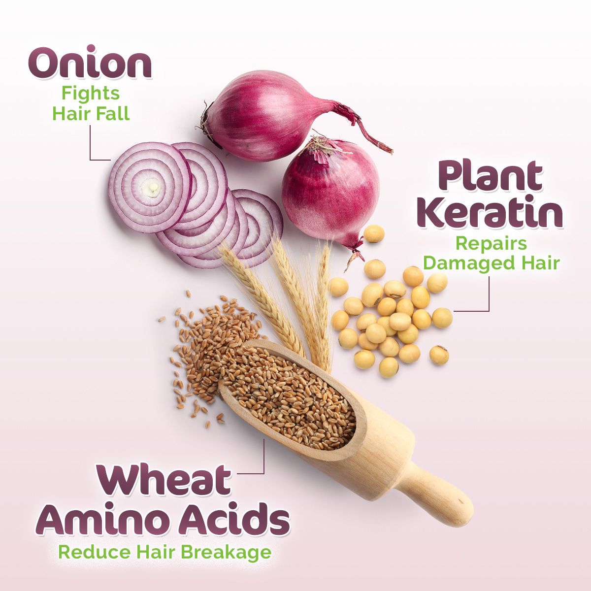 Mamaearth Onion Shampoo for Hair Fall Control & Hair Growth with Onion & Plant Keratin, 180 ml - Image 3 - Buy from Indicrest