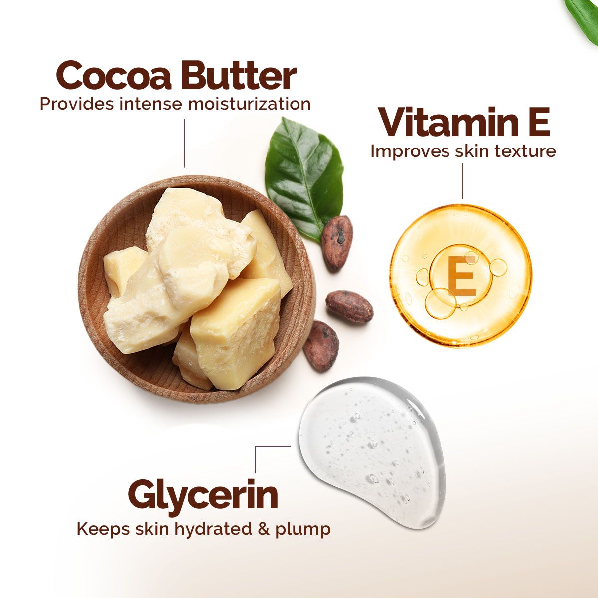 Mamaearth Cocoa Rich Moisturizing Body Lotion with Cocoa Butter & Vitamin E for Intense Moisturization, Pack of 2 X 400ml - Image 4 - Buy from Indicrest