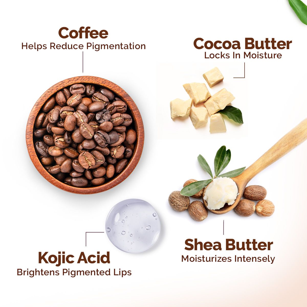 Mamaearth Cocoa Moisture Therapy Lip Balm with Cocoa Butter & Coffee for Dry & Chapped Lips 15g - Image 4 - Buy from Indicrest