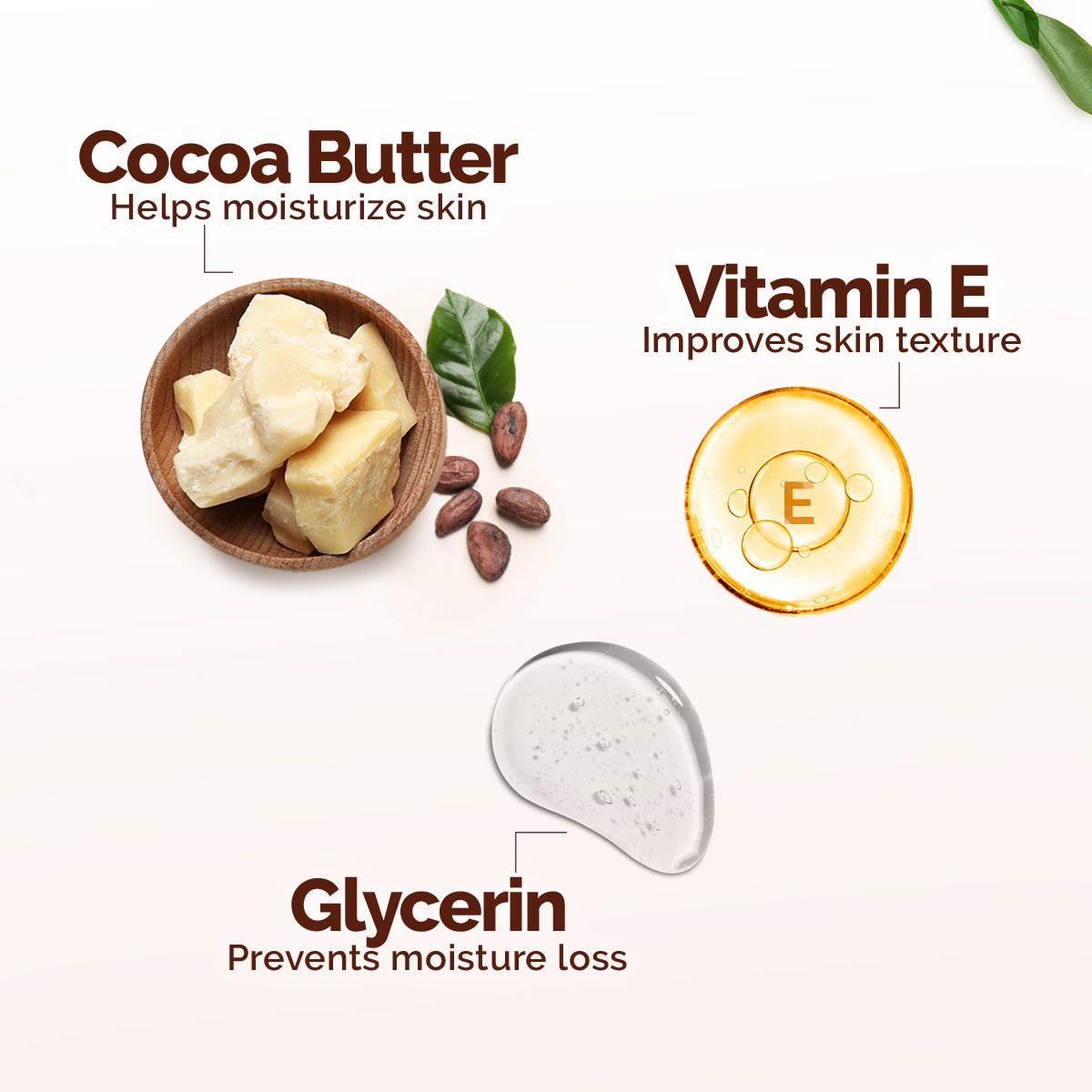Mamaearth Cocoa Rich Moisturizing Cream with Cocoa Butter & Vitamin E for Deep Nourishment, 50g - Image 3 - Buy from Indicrest