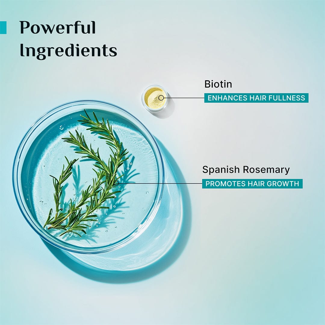 Pilgrim Spanish Rosemary & Biotin Anti-Hairfall Conditioner, 200ml - Image 5 - Buy from Indicrest