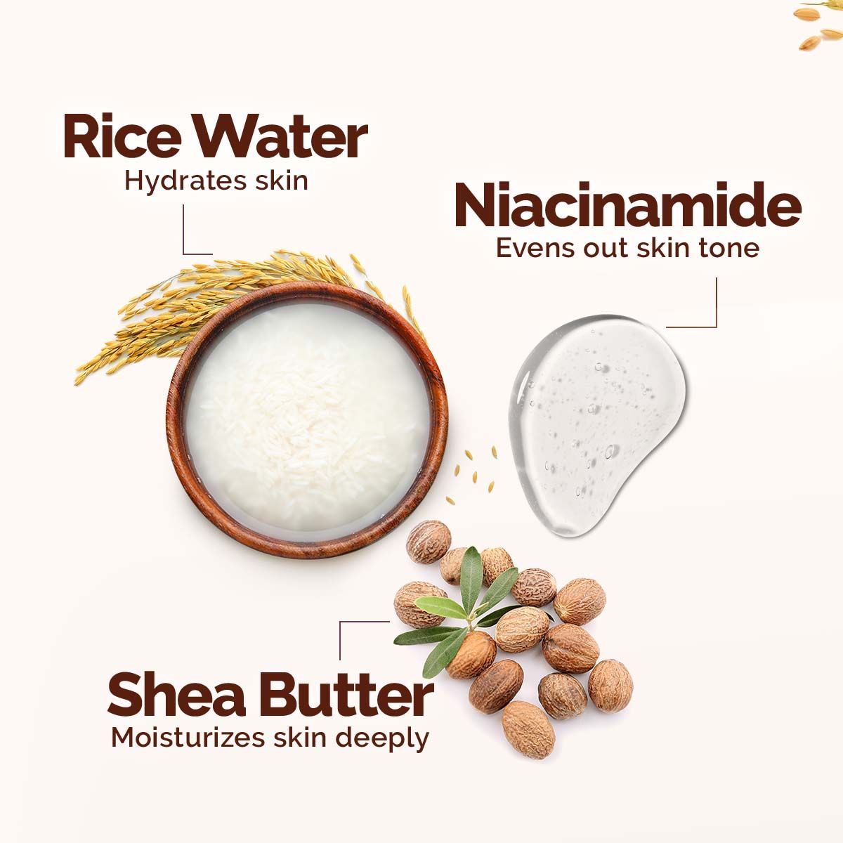 Mamaearth Rice Water Hydrating Body Lotion with Rice Water & Niacinamide for Dewy Glass Skin, Pack of 2 X 400ml - Image 4 - Buy from Indicrest