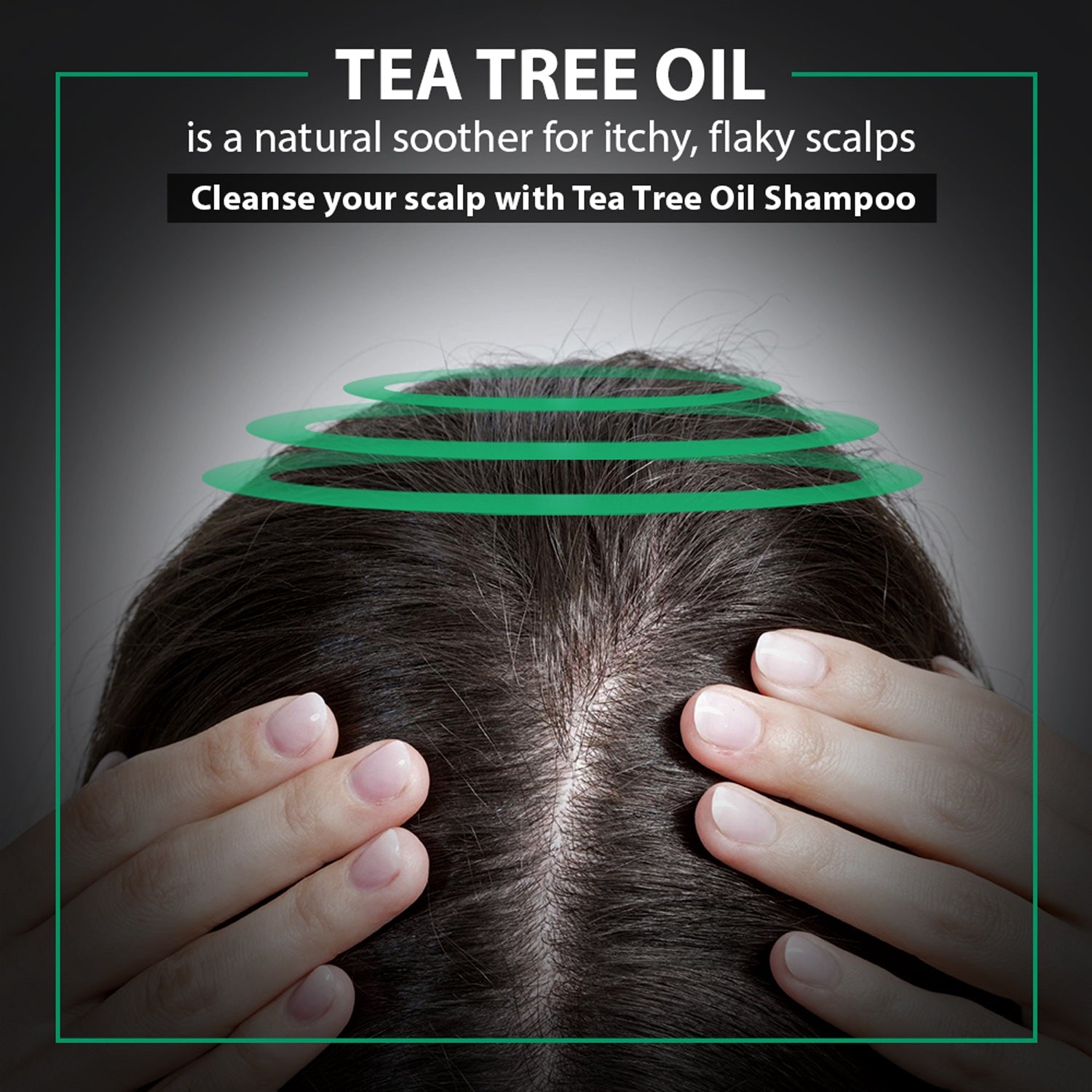 De Fabulous Tea Tree Oil Shampoo, 75ml - Image 4 - Buy from Indicrest