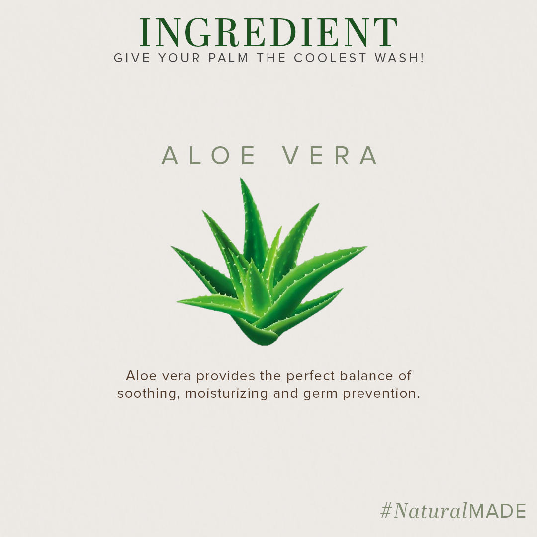 Khadi Natural Everyday Protection Aloe Vera Handwash - 300ml - Image 3 - Buy from Indicrest