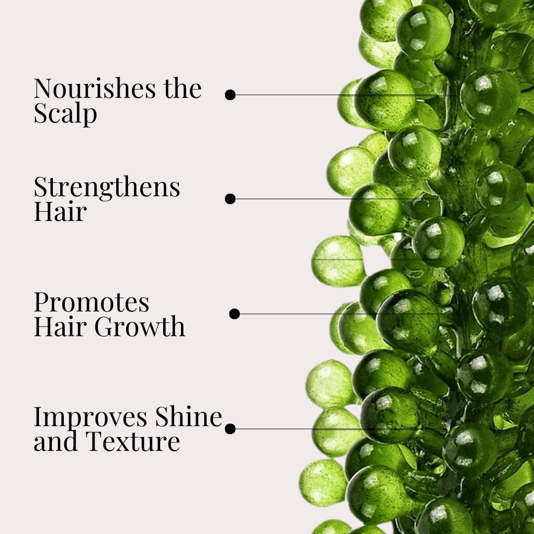 https://cabelochave.com/products/cabelo-chave-professional-neoplex-kit-100ml?_pos=57&_fid=2e82c4b18&_ss=cNeoplex Kit 100ml100ml - Image 6 - Buy from Indicrest