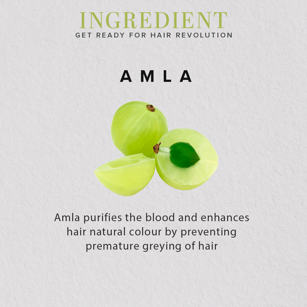 Khadi Natural Organic Amla Fruit Powder For Hair Care - 100% Natural - 100gm - Image 3 - Buy from Indicrest