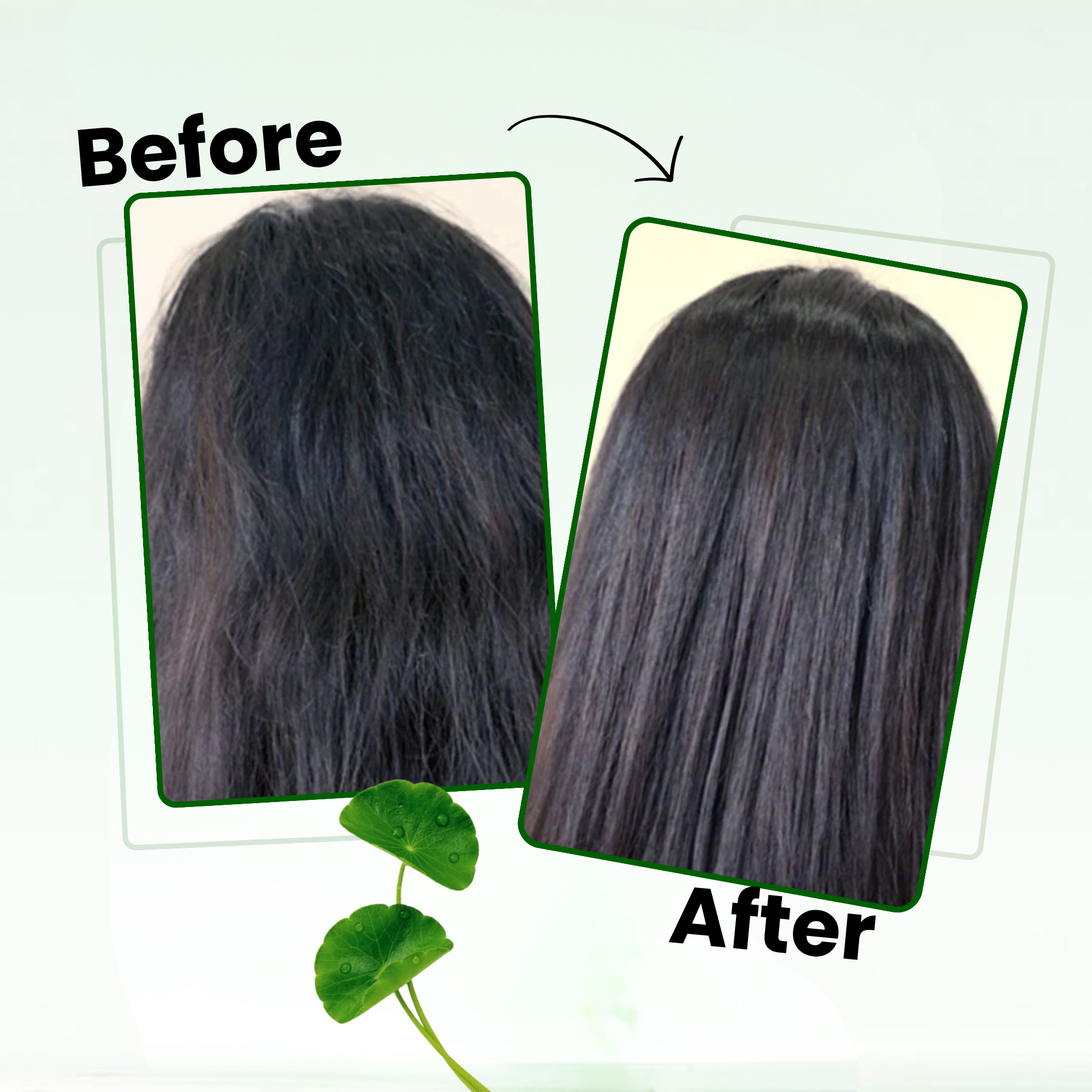 Richfeell Brahmi Jaborandi Hair Oil 10ML - Image 5 - Buy from Indicrest