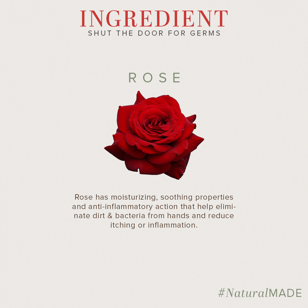 Khadi Natural Anti Germ Rose Handwash - 300ml - Image 3 - Buy from Indicrest