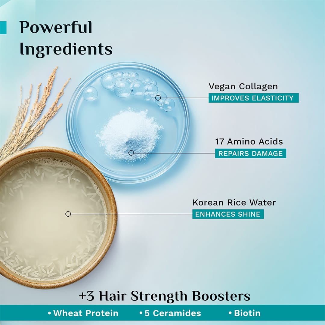 Pilgrim Korean Rice Water & Collagen Advanced Damage Repair Hair Mask, 200ml - Image 5 - Buy from Indicrest