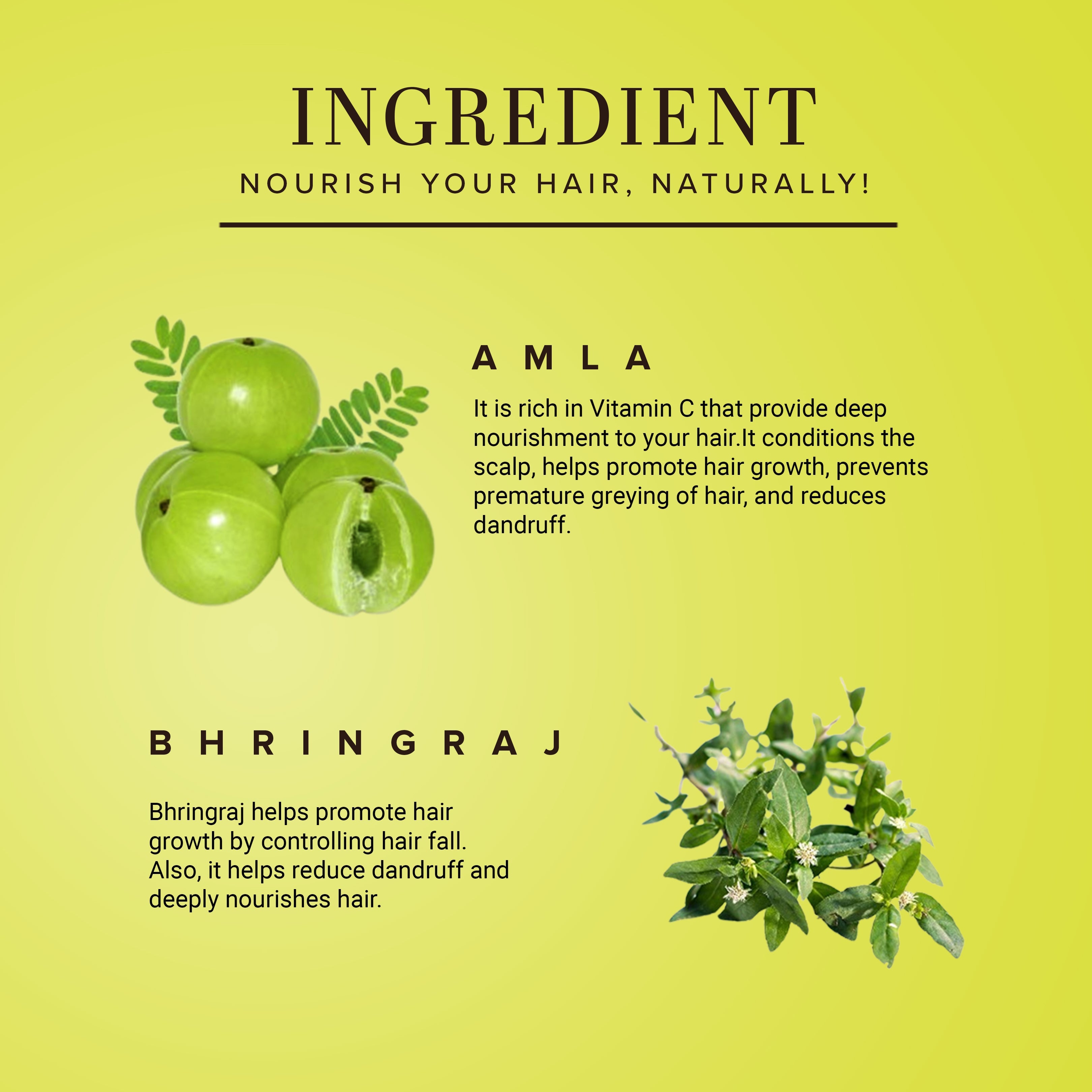 Khadi Natural Amla & Bhringraj Hair Conditioner - Paraben, Silicones, Sulphate, Color, Salt & Artificial Fragrance Free - 310ml - Image 3 - Buy from Indicrest