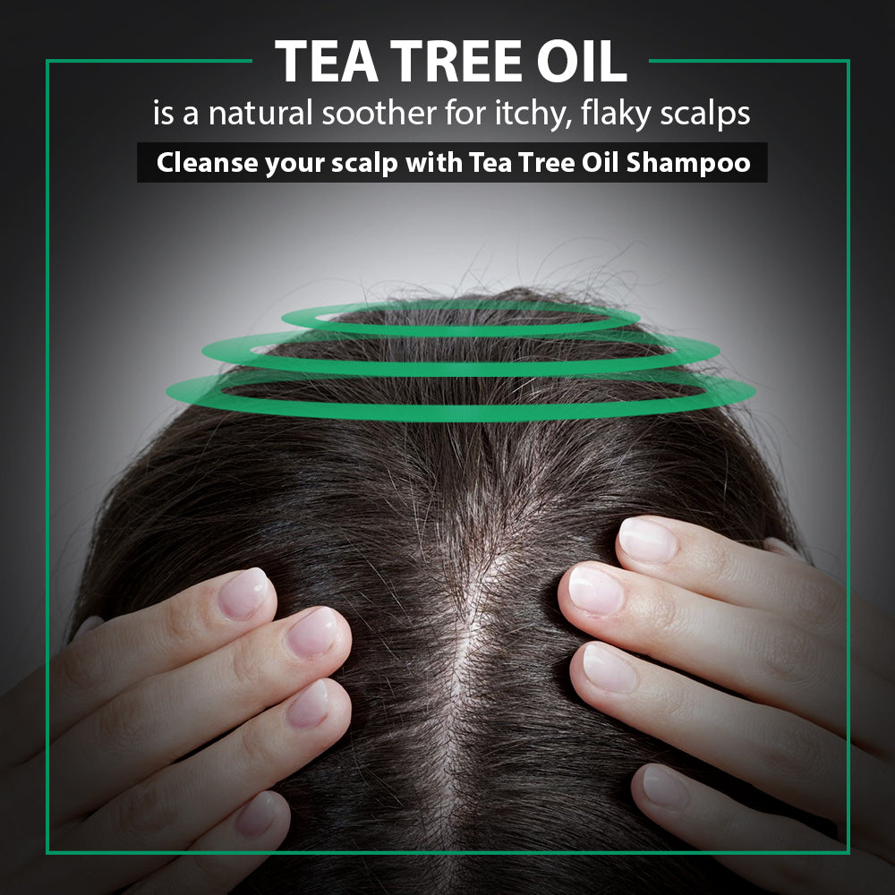 De Fabulous Tea Tree Oil Shampoo, 250ml - Image 3 - Buy from Indicrest