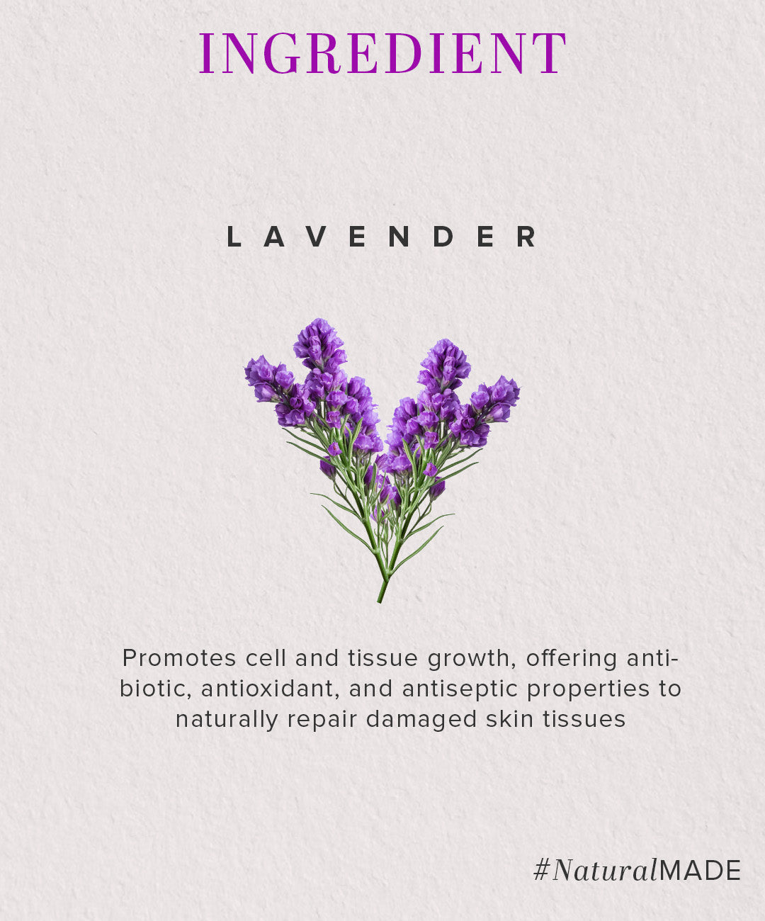 Khadi Natural Lavender Moisturizer with Sheabutter - Paraben Free - 210ml Sale - Image 3 - Buy from Indicrest
