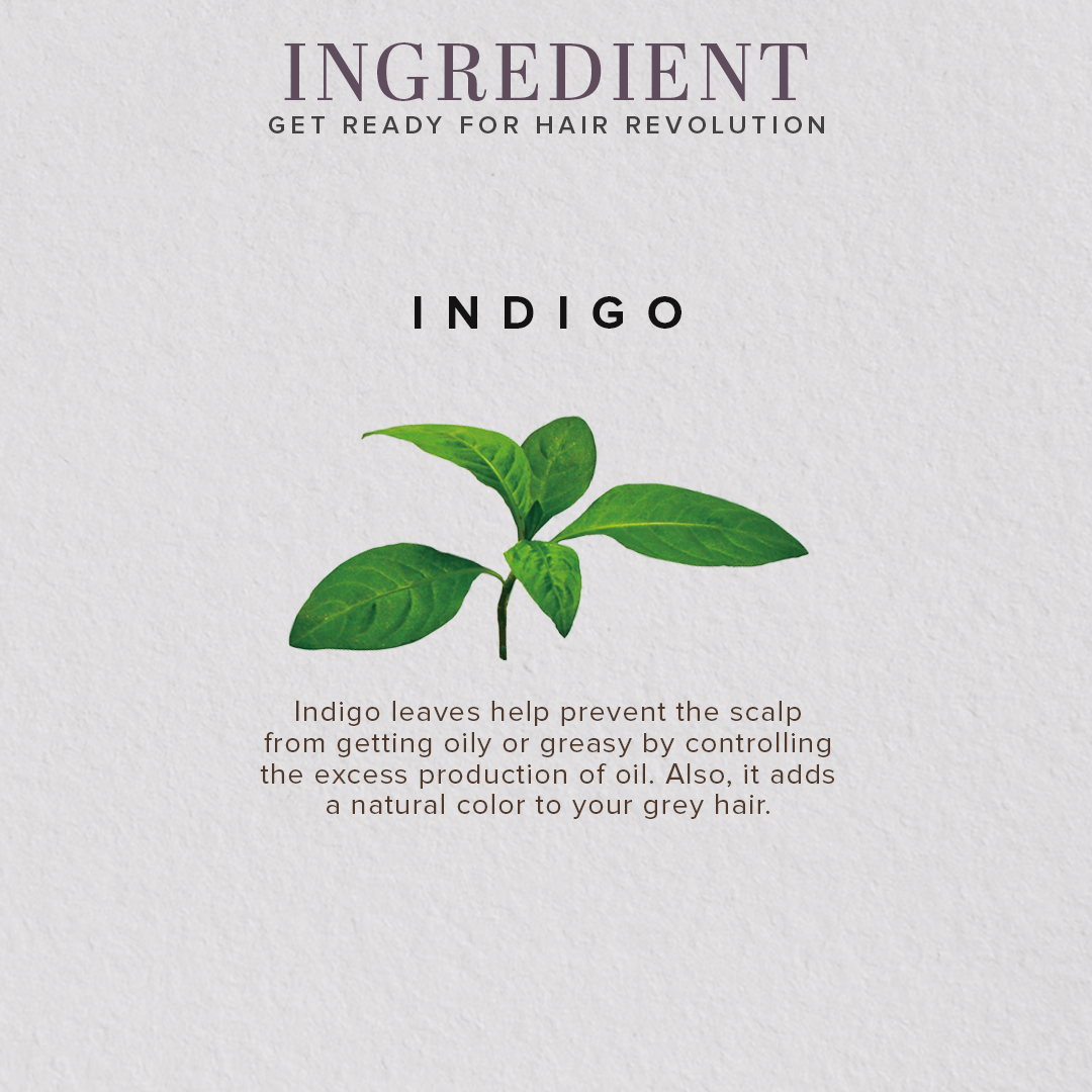 Khadi Natural Organic Indigo Leaf Hair Color Powder - 100% Natural - 100gm - Image 3 - Buy from Indicrest