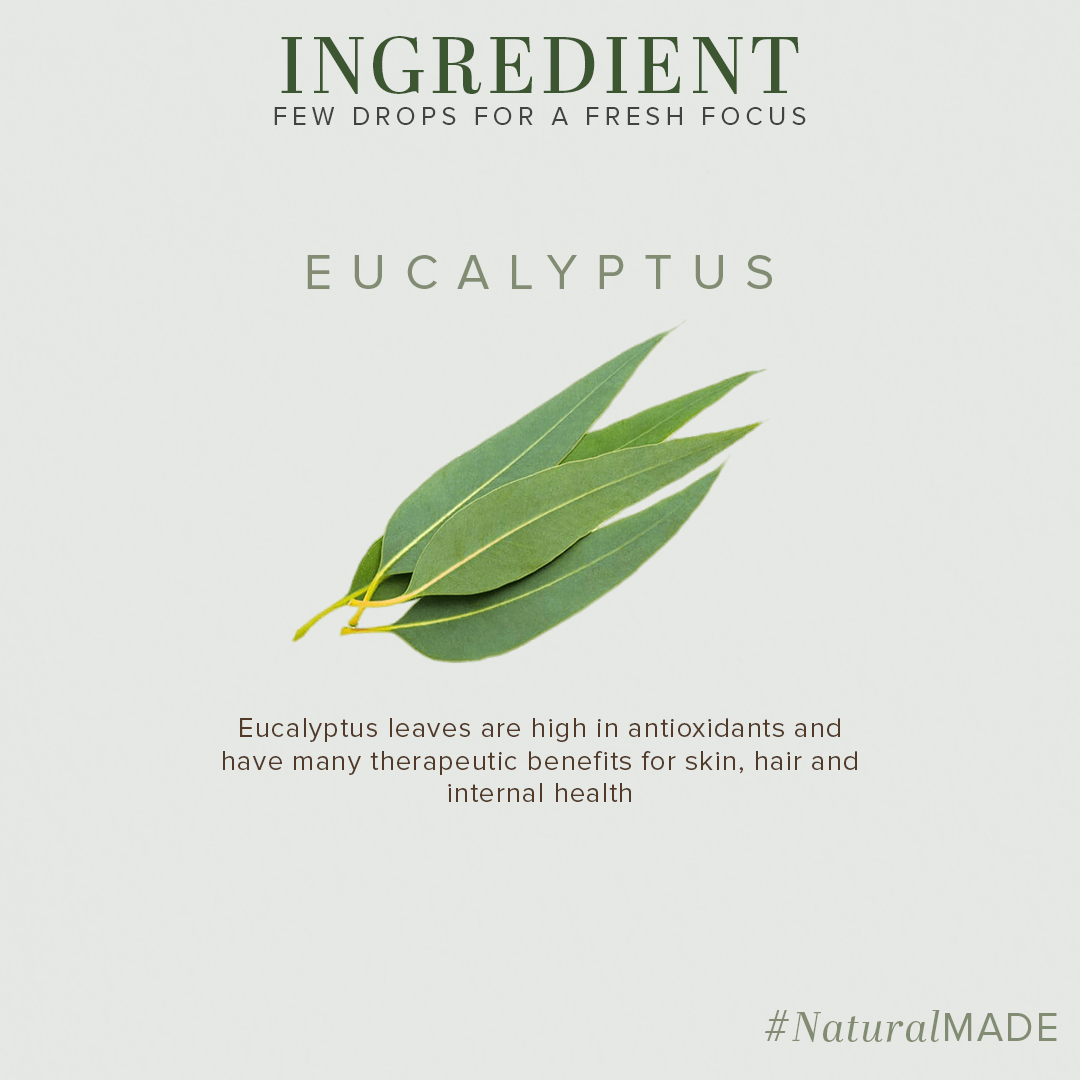 Khadi Natural Eucalyptus - Pure Essential Oil - 15ml Sale - Image 3 - Buy from Indicrest
