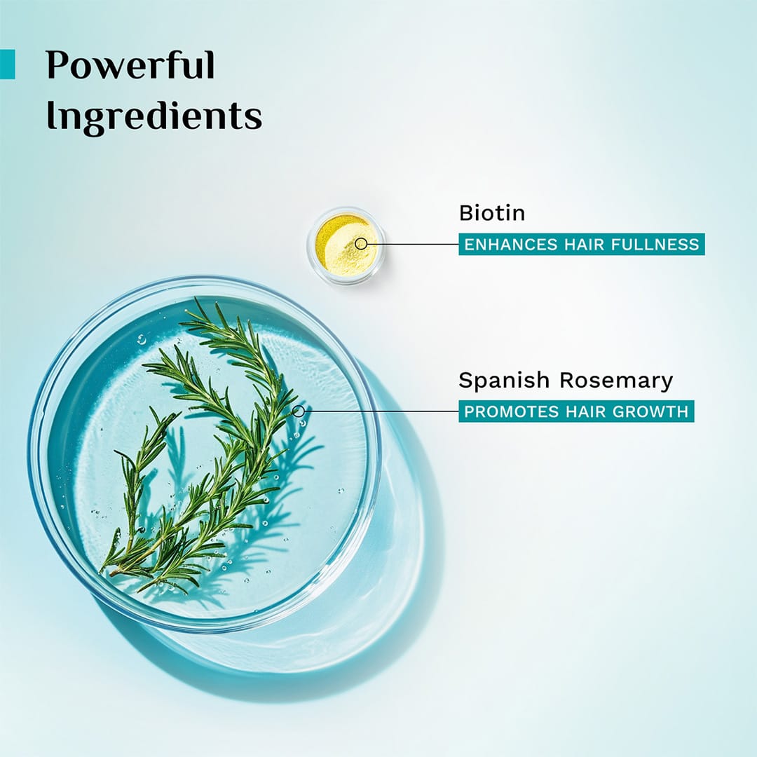 Pilgrim Spanish Rosemary & Biotin Anti-Hairfall Hair Mask, 200g - Image 3 - Buy from Indicrest